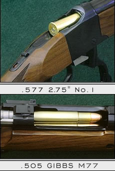 A pair of Bown Custom guns